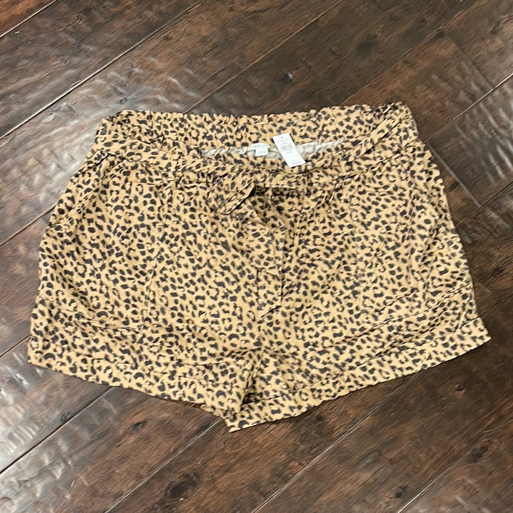 American Eagle shorts. Brand new with tags
